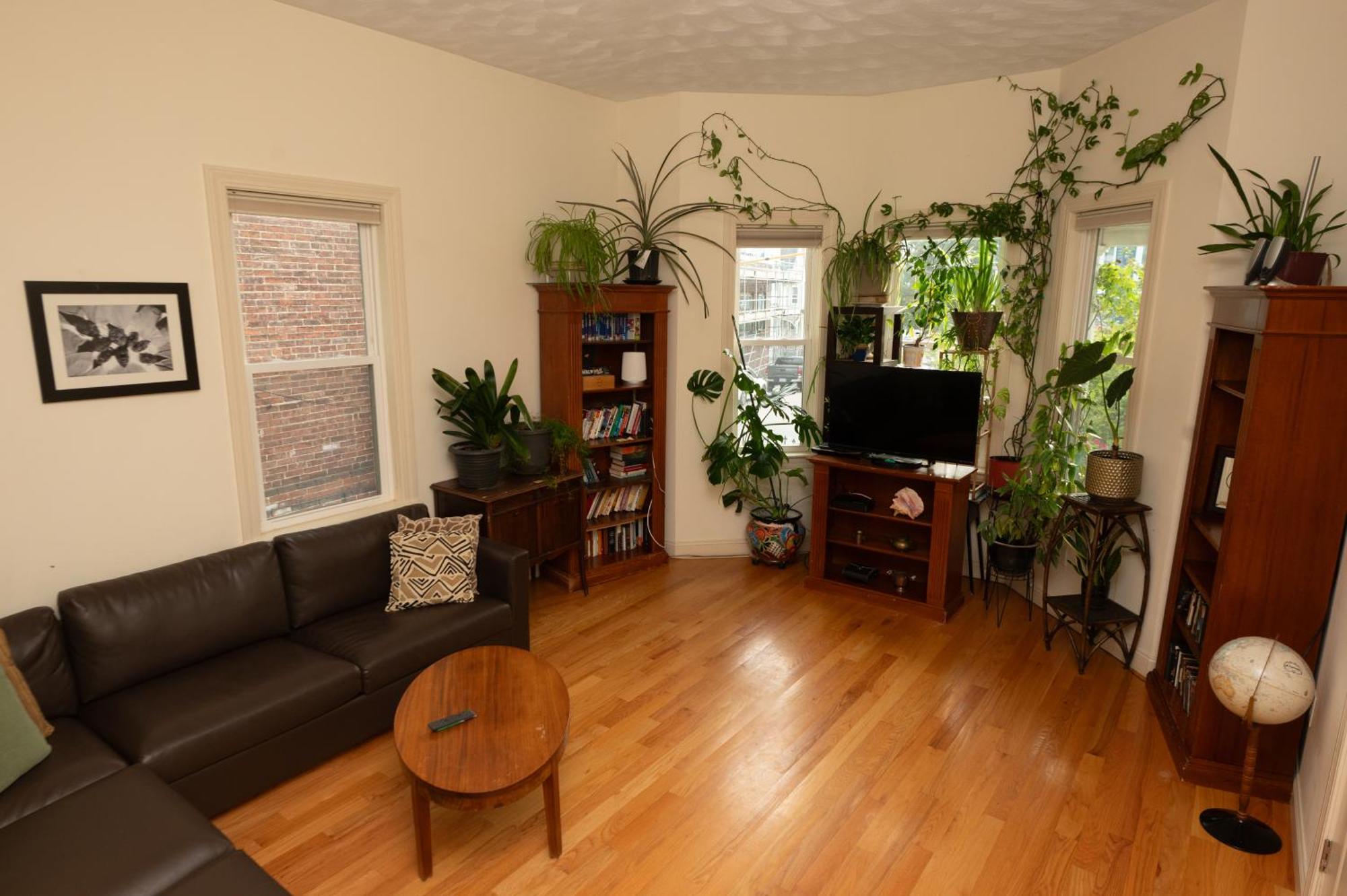 2 Bedroom Boston Condo In Jamaica Plain With Parking Buitenkant foto